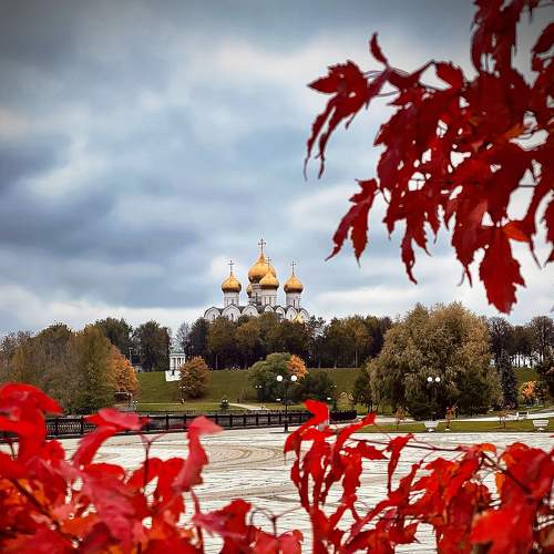 Photo #6611724