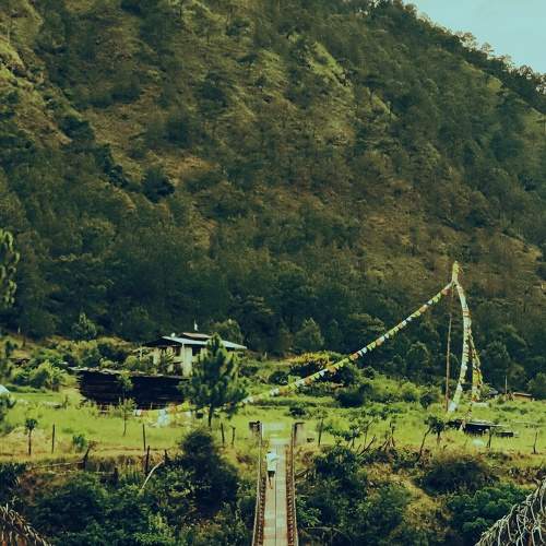 Photo #6611764