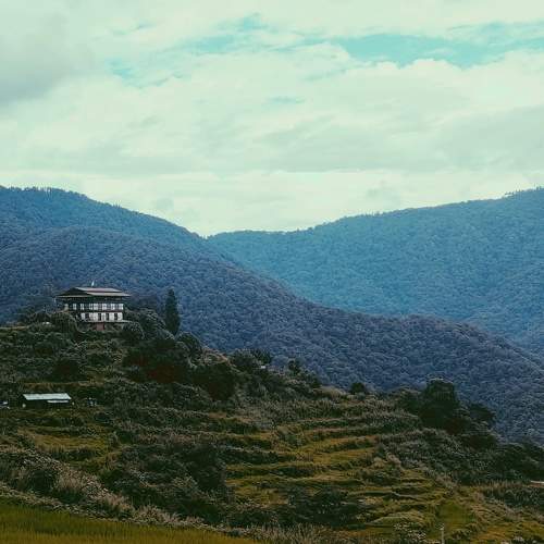 Photo #6611786