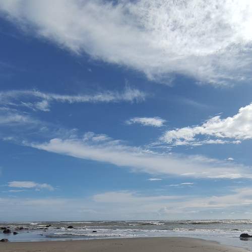 Photo #6611877
