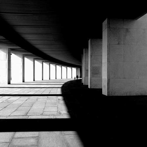 Photo #6612059