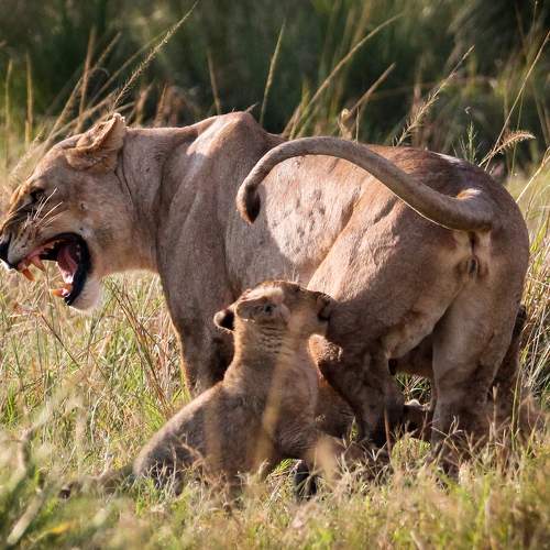 Photo #6612350