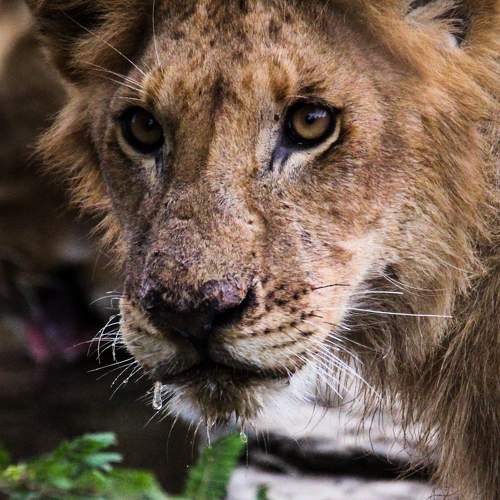 Photo #6612351