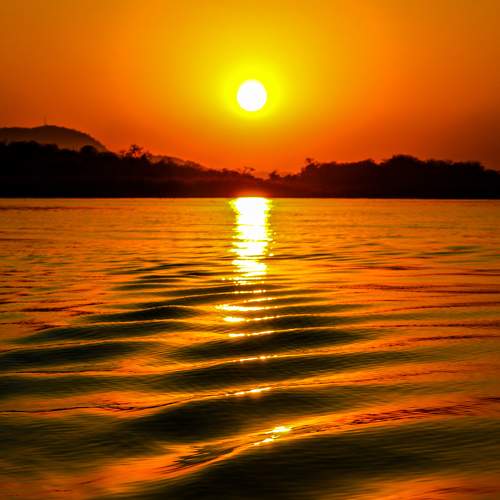 Photo #6612379