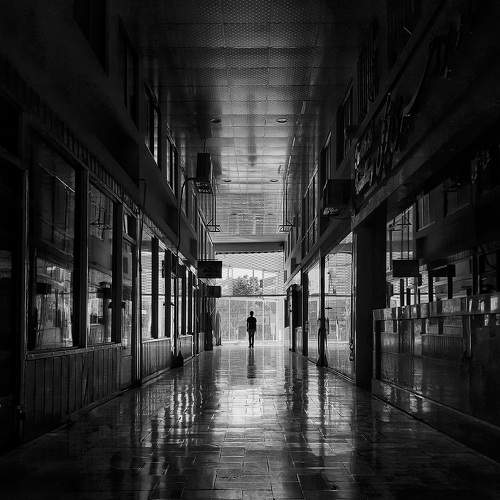 Among the reflections