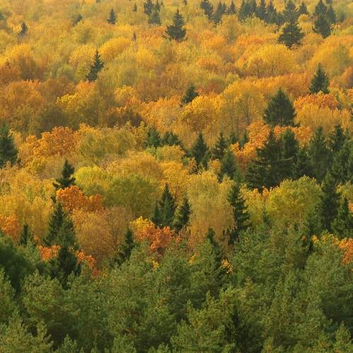 Photo #6612578