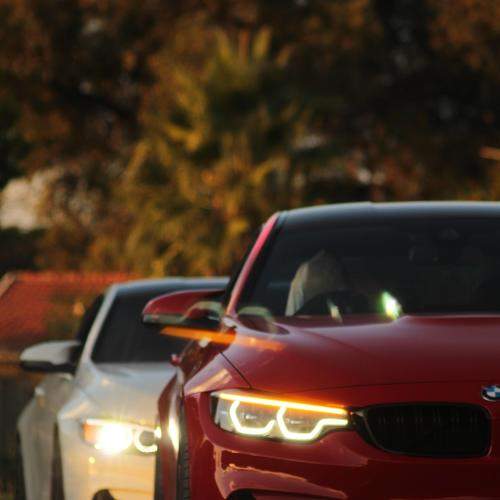 Photo #6612620