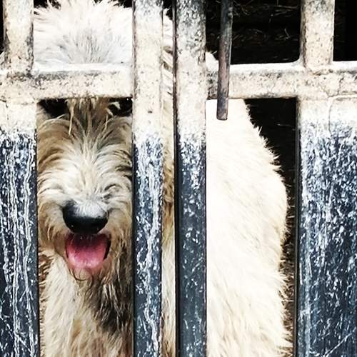 Photo #6612819