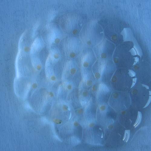 Photo #6612916