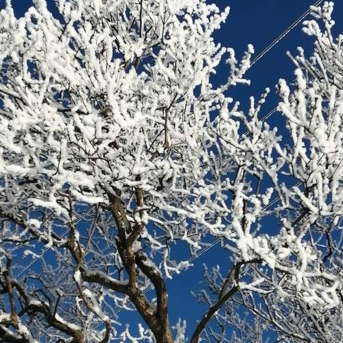 Photo #6612932