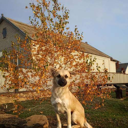 Photo #6612984