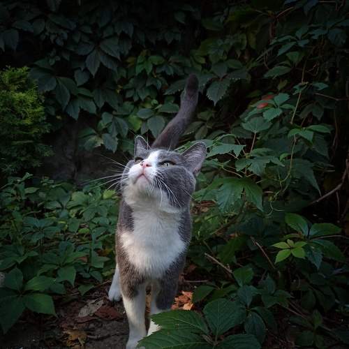 Photo #6612996