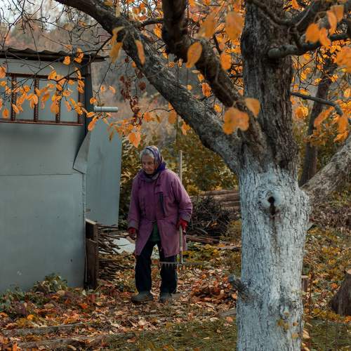 Photo #6613400