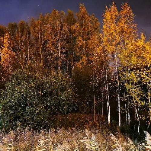 Autumn