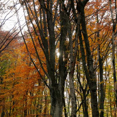 Photo #6614242