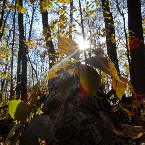Photo #6614318