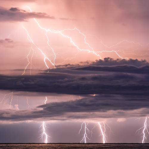 Photo #6614385