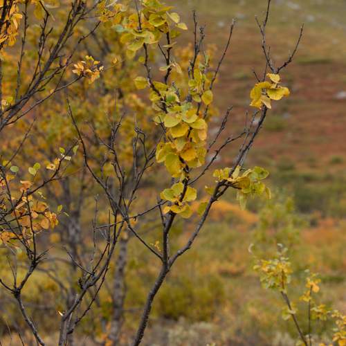 Photo #6614619