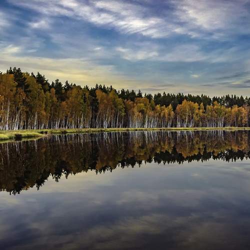 Photo #6614899