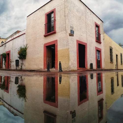Photo #6615188