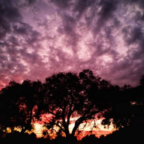 Photo #6615192