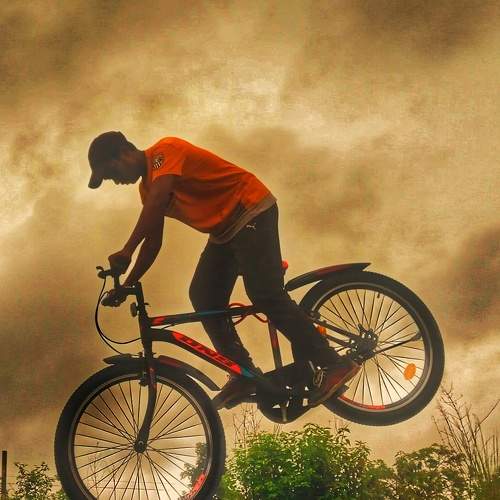 Photo #6615221