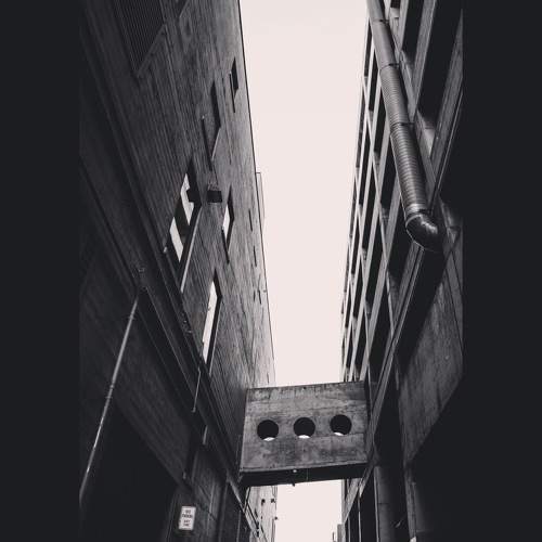 Photo #6615235