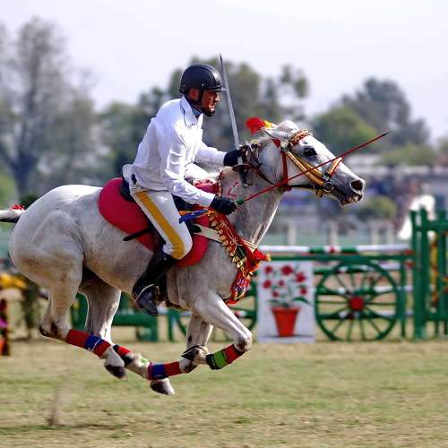 Photo #6615358