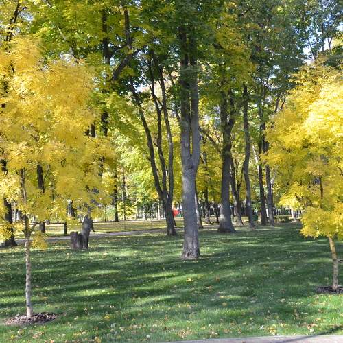 Photo #6615405