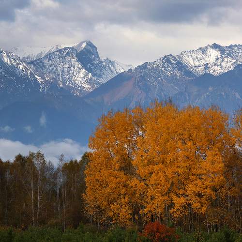 Photo #6615528