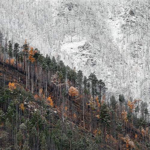 Photo #6615529