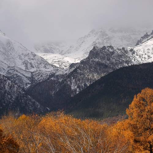 Photo #6615530