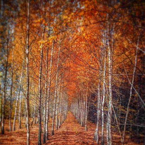 Photo #6615635