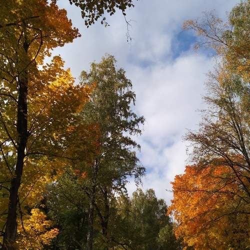Photo #6615702