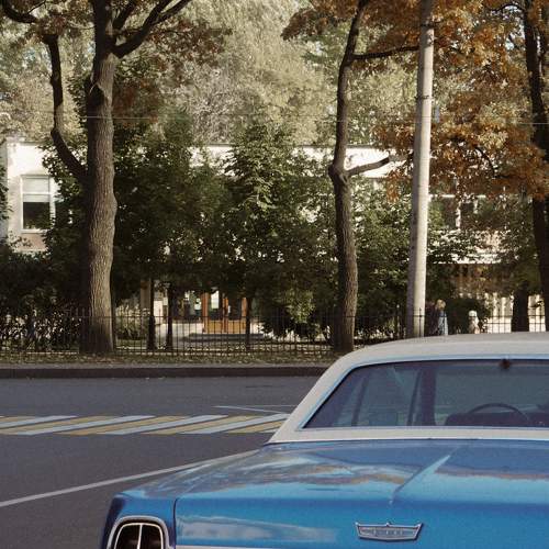 Photo #6615959