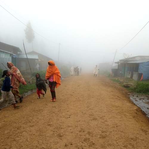 Photo #6616044
