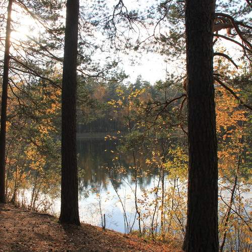 Photo #6616100