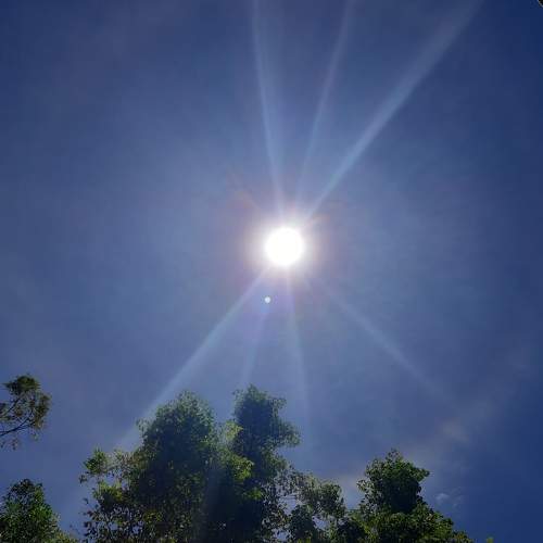 Photo #6616200