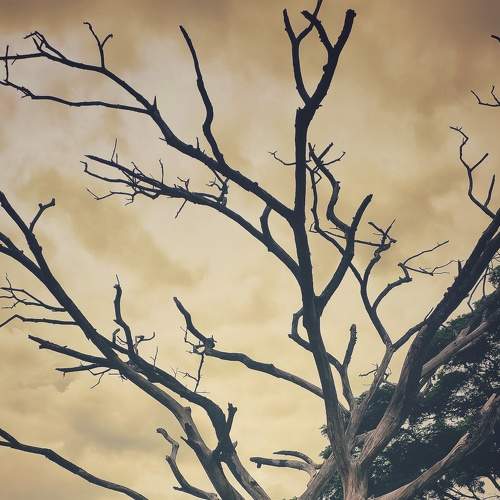Photo #6616345