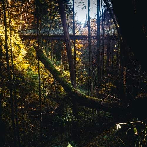 Photo #6616511