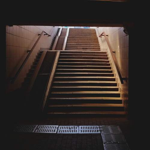 Photo #6616519
