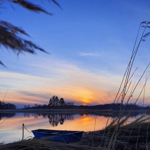 Photo #6616556
