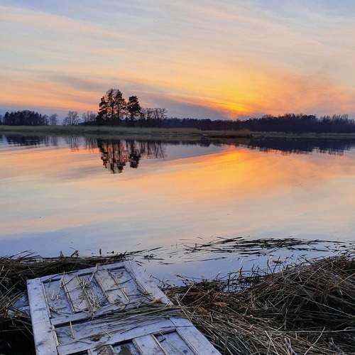 Photo #6616557