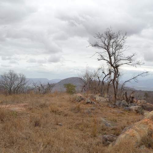 Mountain Top