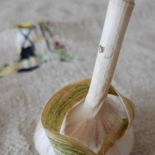 Photo #6616947