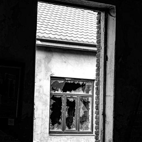 Photo #6617167