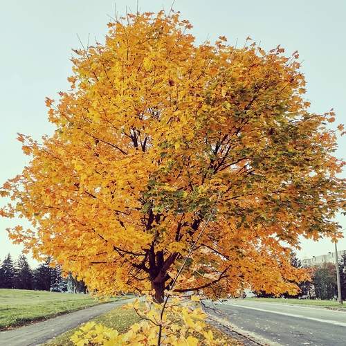 Photo #6617226