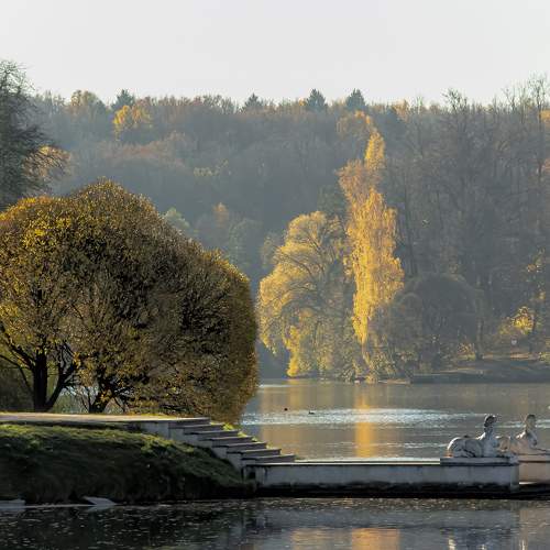 Photo #6617437