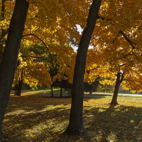 Photo #6617439