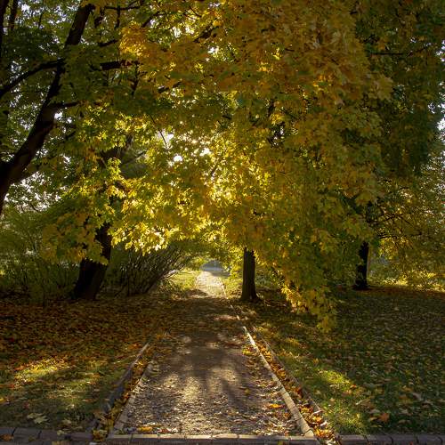Photo #6617440